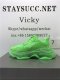 PK GOD PARIS TRIPLE S TRAINER ALL GREEN