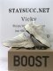 PK GOD YEEZY 700 BOOST “ANALOG ”RETAIL MATERIALS READY TO SHIP